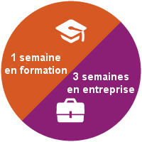 Rythme alternance Bac+3 à Bac+5